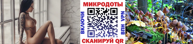 Галлюциногенные грибы мицелий Сорочинск